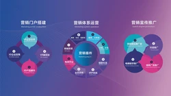 全网整合营销，品牌数字化时代的核心战略王牌
